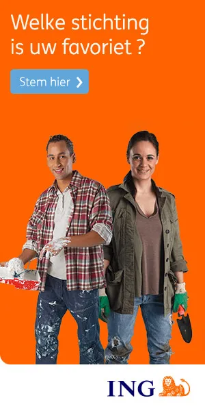 ING Help Nederland vooruit, 300×600