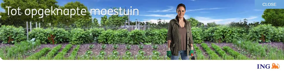 ING Help Nederland vooruit, 970×250