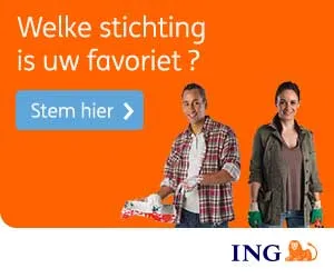 ING Help Nederland vooruit, 300×250